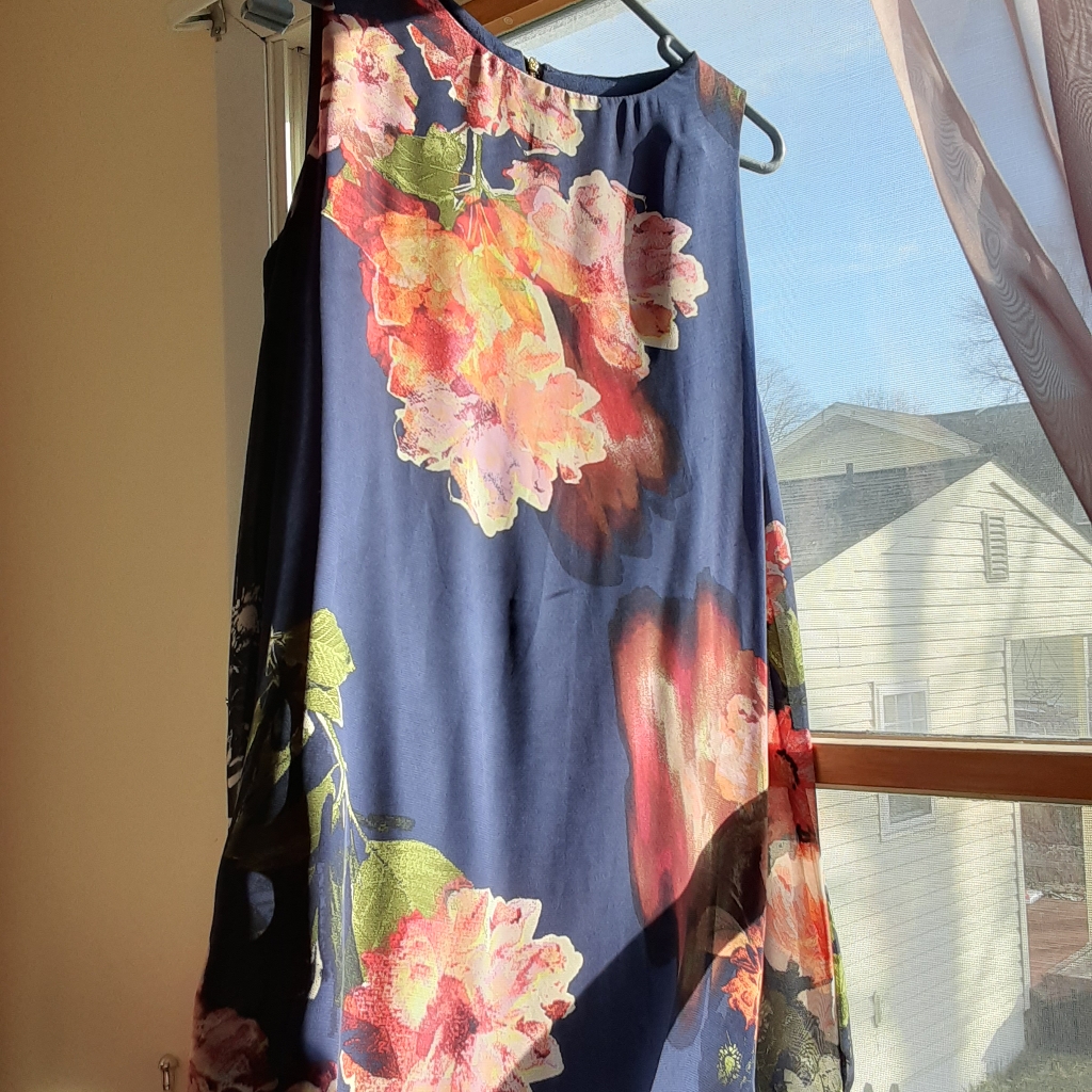 Sony Navy Dress